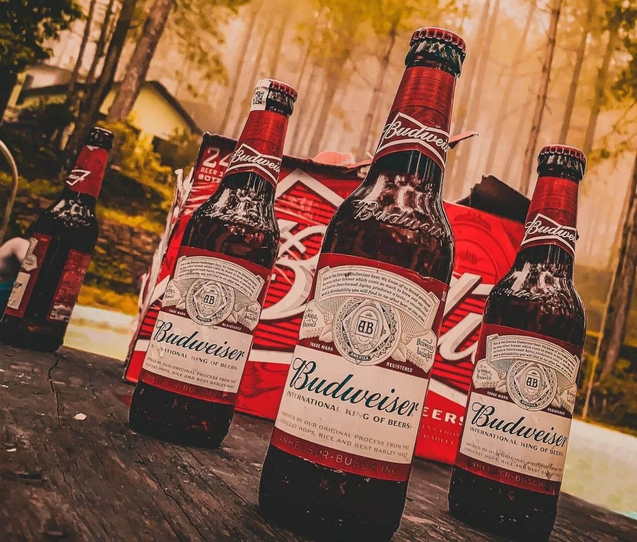 Czeska marka piwa Budweiser może wrócić na rynek rosyjski (pixabay)