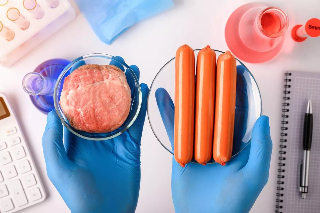 Zakaz produkcji mięsa wśród prognoz na 2023 rok (Shutterstock)