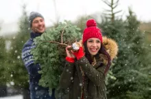 Największa grupa Polaków kupuje dekoruje choinkę w trzecim tygodniu grudnia (Shutterstock)