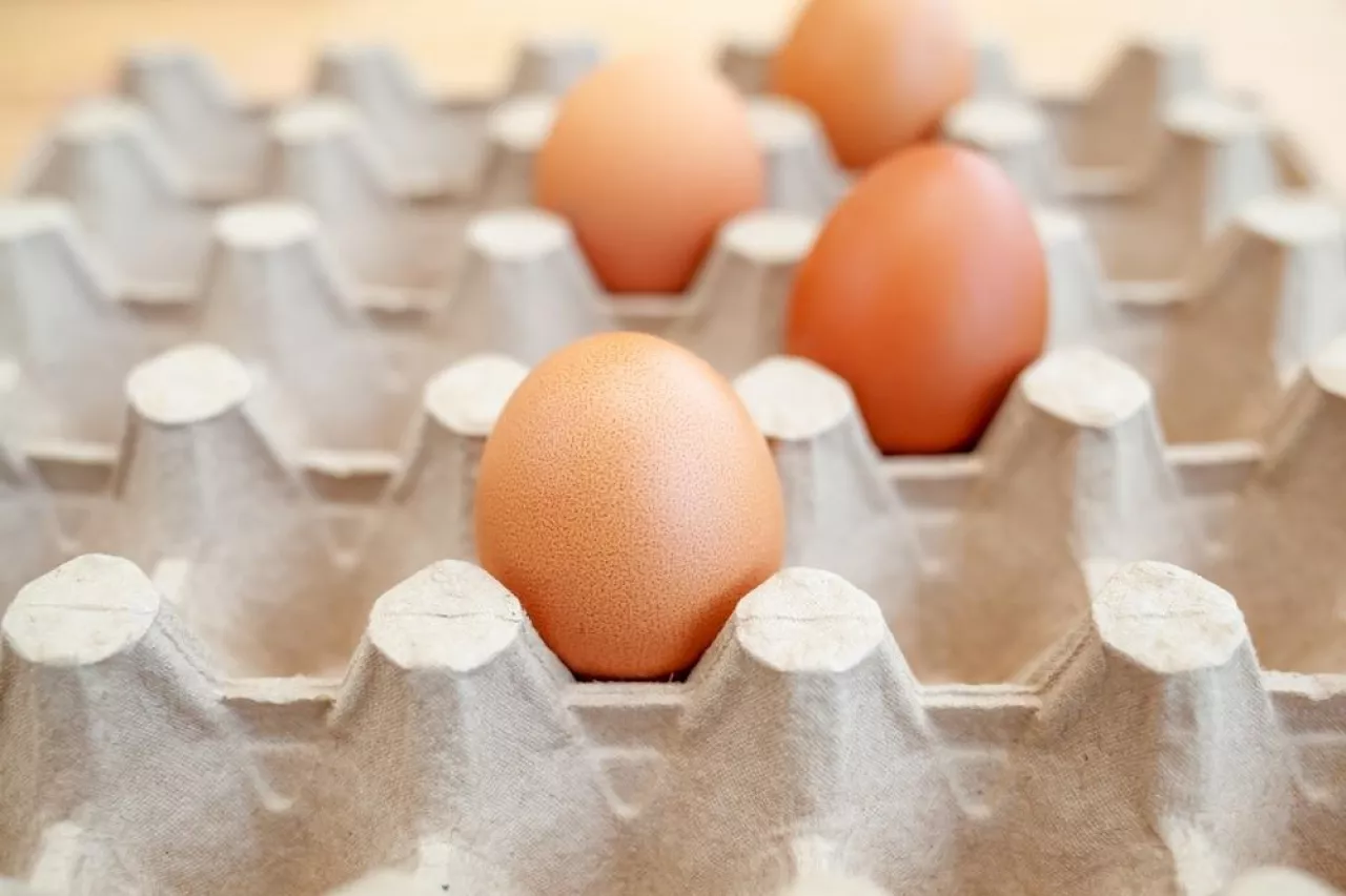 Ptasia grypa, wysokie ceny paszy i zmiany w prawie przyczyniły się do wysokich cen jaj w kilku państwach (Shutterstock)