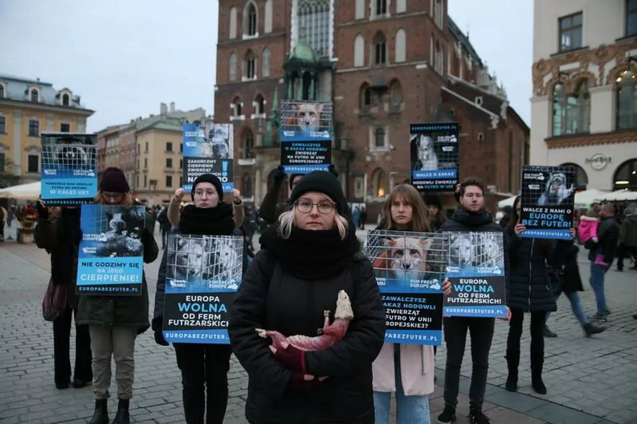 Aktywiści Fur Free Europe podczas demonstracji (Fur Free Europe)