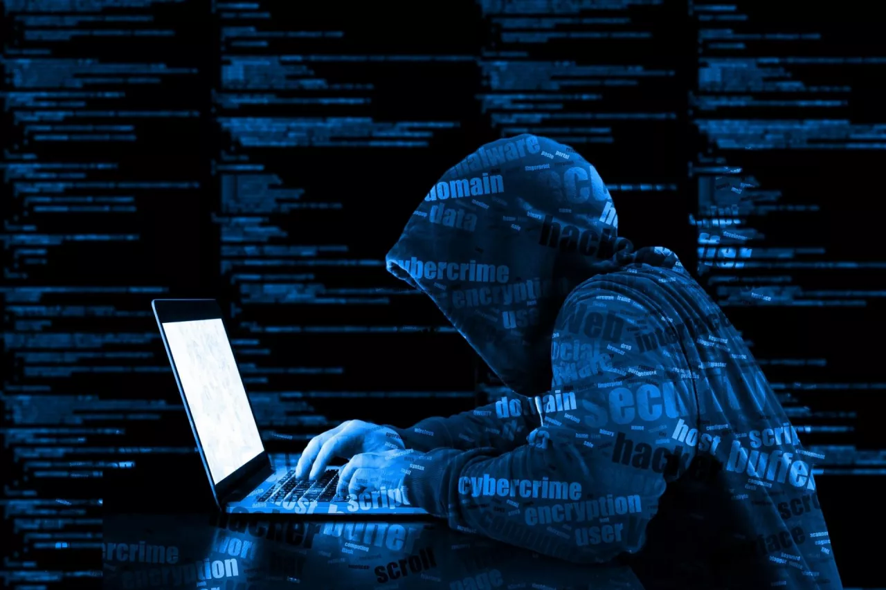 Haker (fot. Shutterstock)
