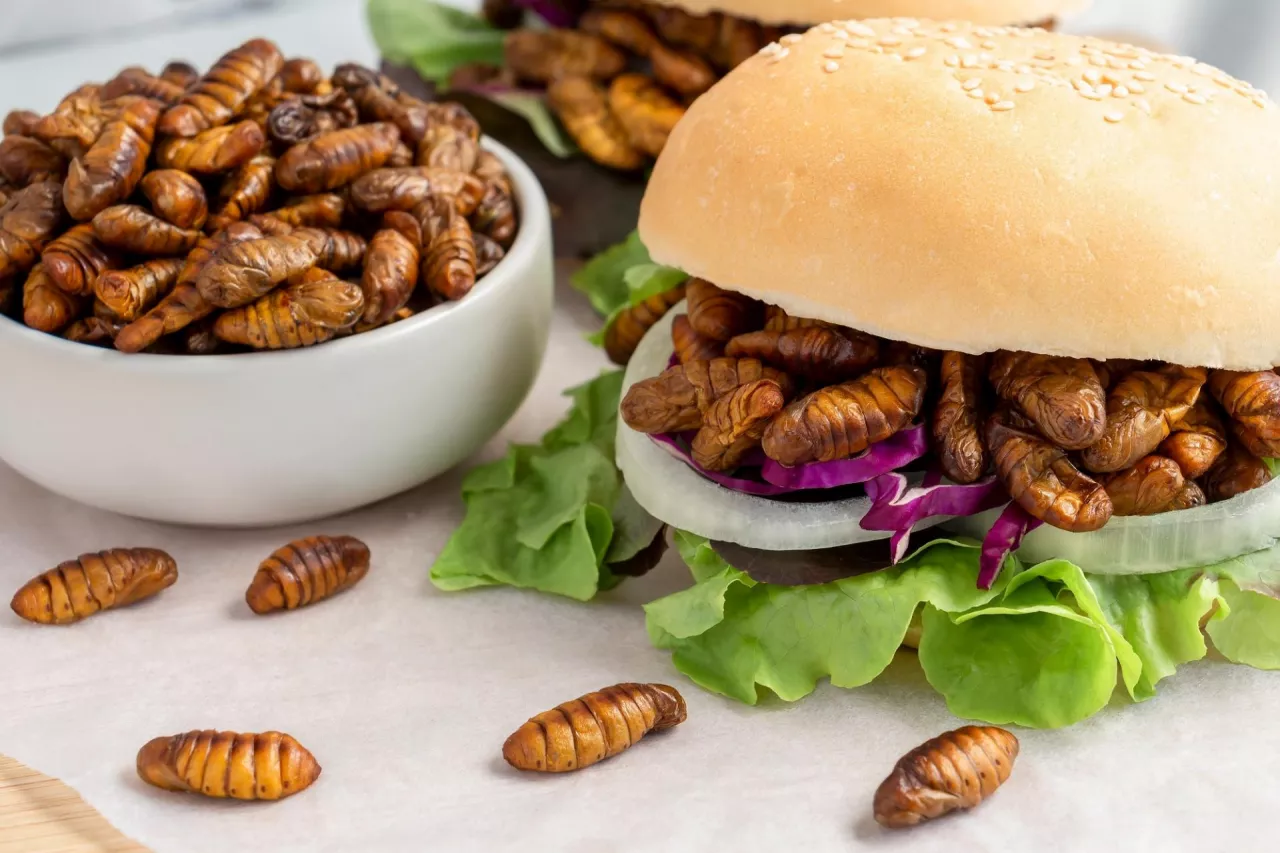 Według FAO owady stanowią obecnie ok. 10 proc. białka zwierzęcego spożywanego przez całą światową populację (fot. Shutterstock)