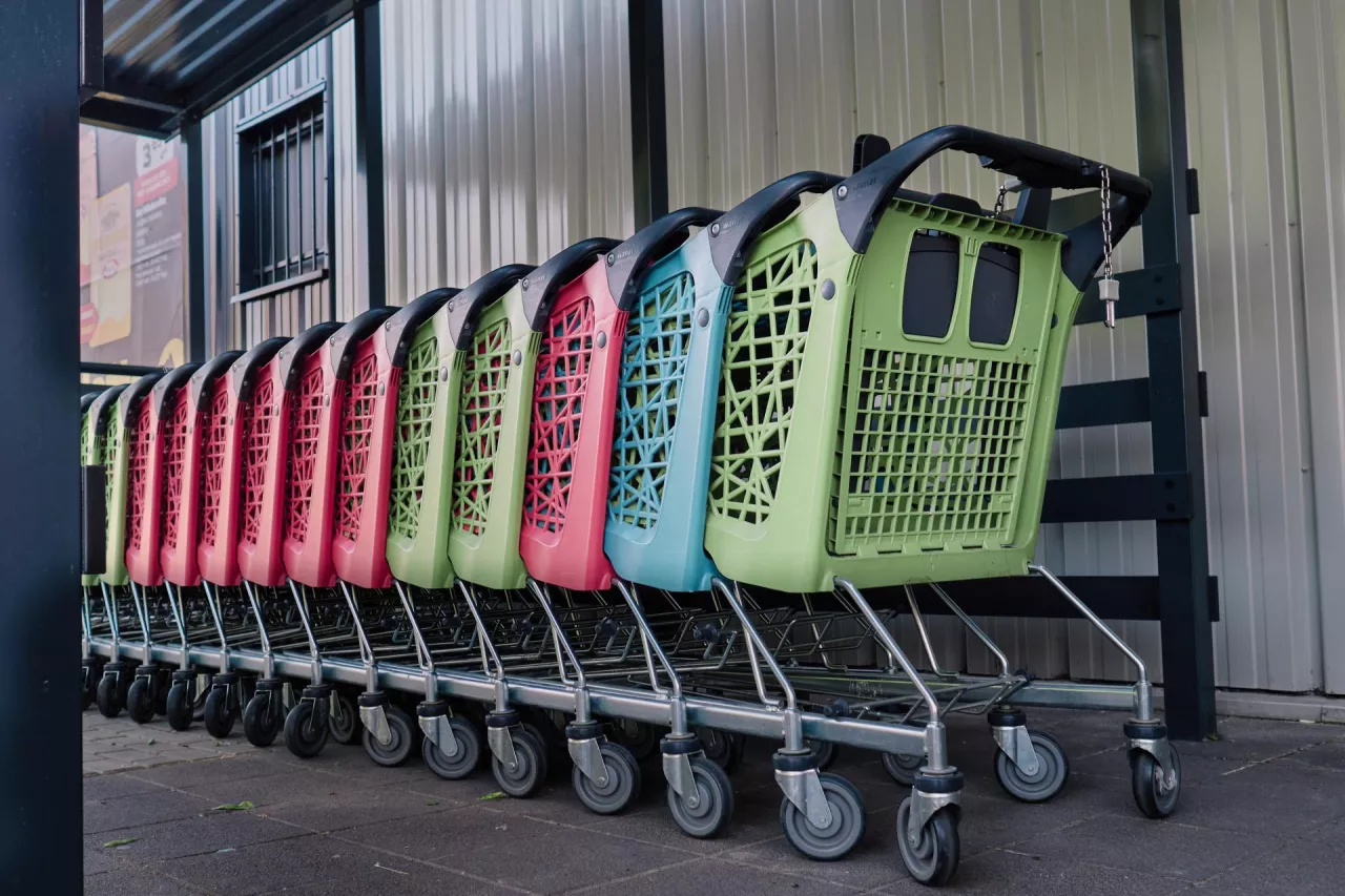 Wózki sklepowe są nieodzownym elementem każdego sklepu samoobsługowego (fot. Łukasz Rawa/wiadomoscihandlowe.pl)