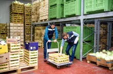Parlament Europejski chce poprawy bezpieczeństwa żywnościowego w Unii (Shutterstock)