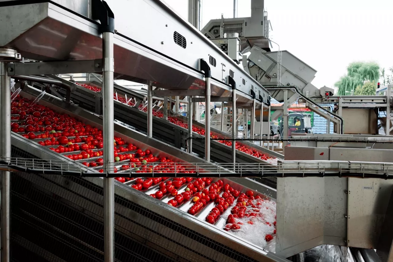 &lt;p&gt;Nowa linia do przetwarzania pomidorów w zakładzie Agros Nova w Łowiczu ma trzykrotnie zwiększyć jego moce (fot. materiały prasowe)&lt;/p&gt;
