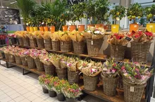 &lt;p&gt;Kwiaciarnia Arkadia w hipermarkecie Carrefour (fot. Carrefour)&lt;/p&gt;