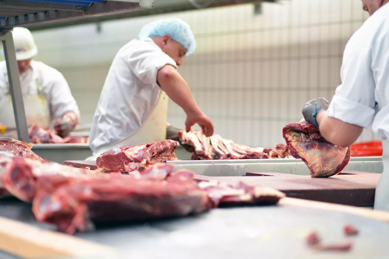 &lt;p&gt;Obróbka mięsa (fot. Shutterstock)&lt;/p&gt;
