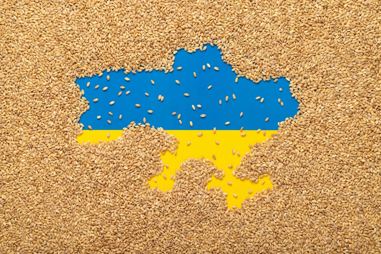 &lt;p&gt;Nowa szefowa resortu rolnictwa Anna Gembicka ujawnia listę firm importujących zboże z Ukrainy (fot, Shutterstock)&lt;/p&gt;