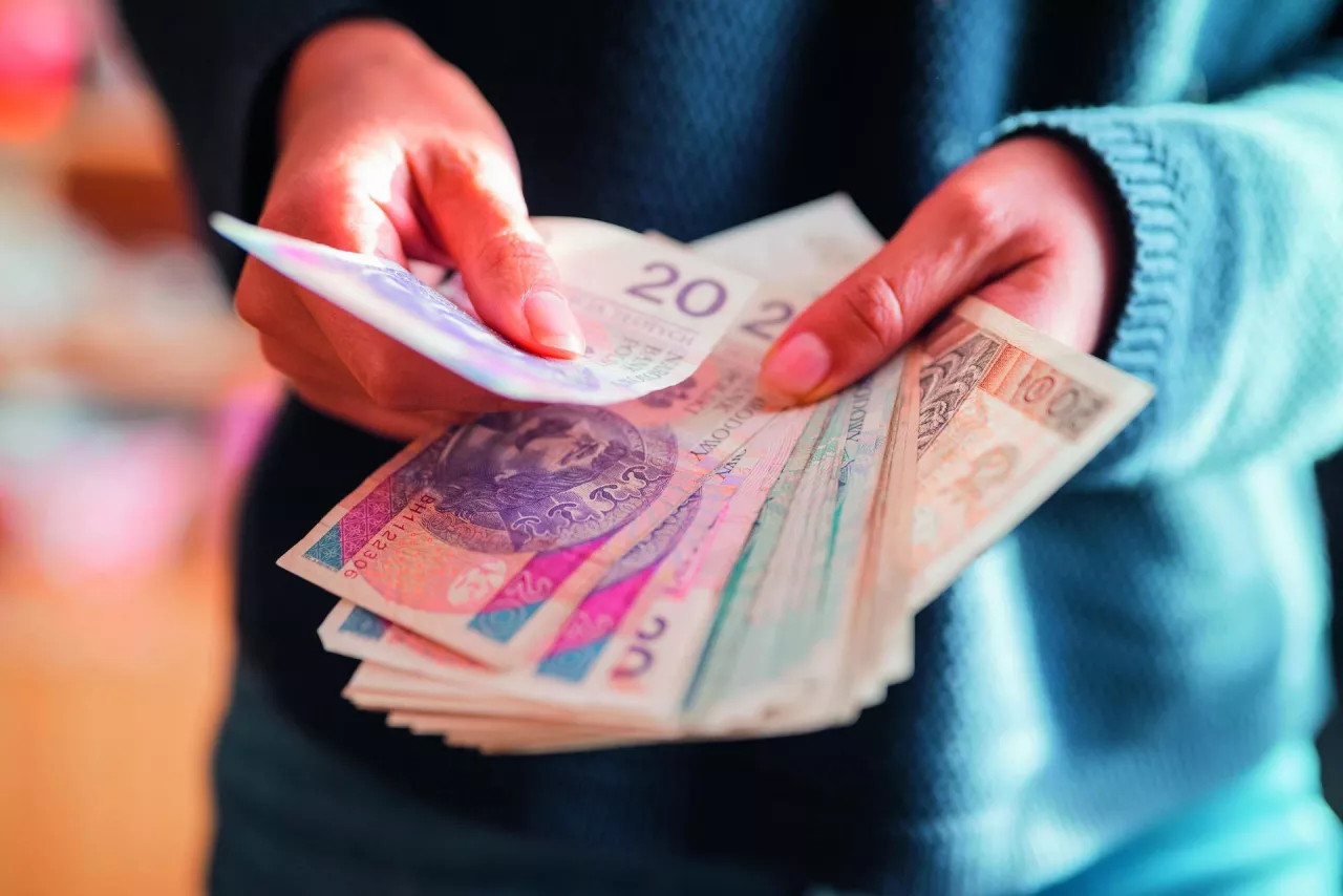 <p>the girl holds in her hands banknotes money polish zlotys and pennies coins salary for payment</p>