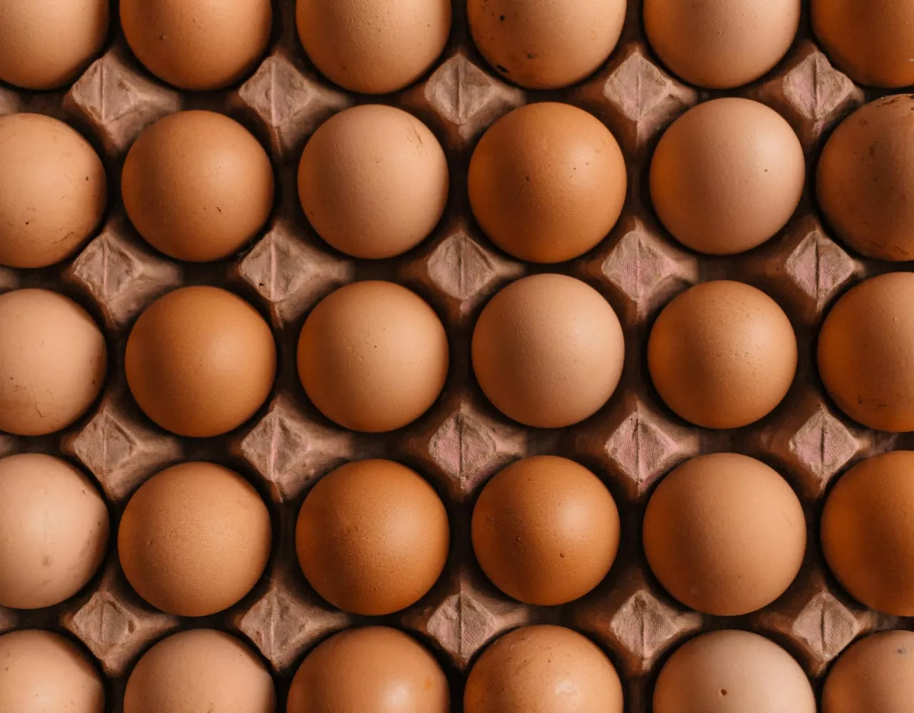 &lt;p&gt;W dyskontach jajka są sprzedawane poniżej kosztów wytworzenia (fot. Erol Ahmed/Unsplash)&lt;/p&gt;
