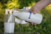 Władze Kanady wydały zgodę na dystrybucję białka ”mleka” otrzymywanego z drożdży produkowanego przez izraelski start-up Remilk do firm mleczarskich i spożywczych (fot. Remilk)