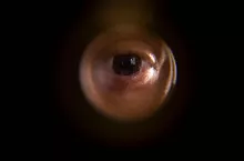 View from the peephole. The human eye looks through the peephole from the flight cage. Close-up