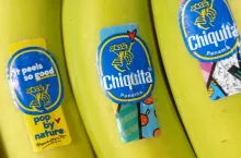 Na zdj. banany Chiquita (fot. Food Impressions/Shutterstock)