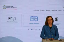 Anita Sowińska, wiceminister klimatu i środowiska
