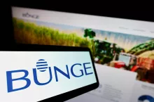 Komisja Europejska zglasza zastrzeżenia do fuzji koncernu Bunge (producenta oleju marki Kujawski) z firmą Viterra (fot. Shutterstock)