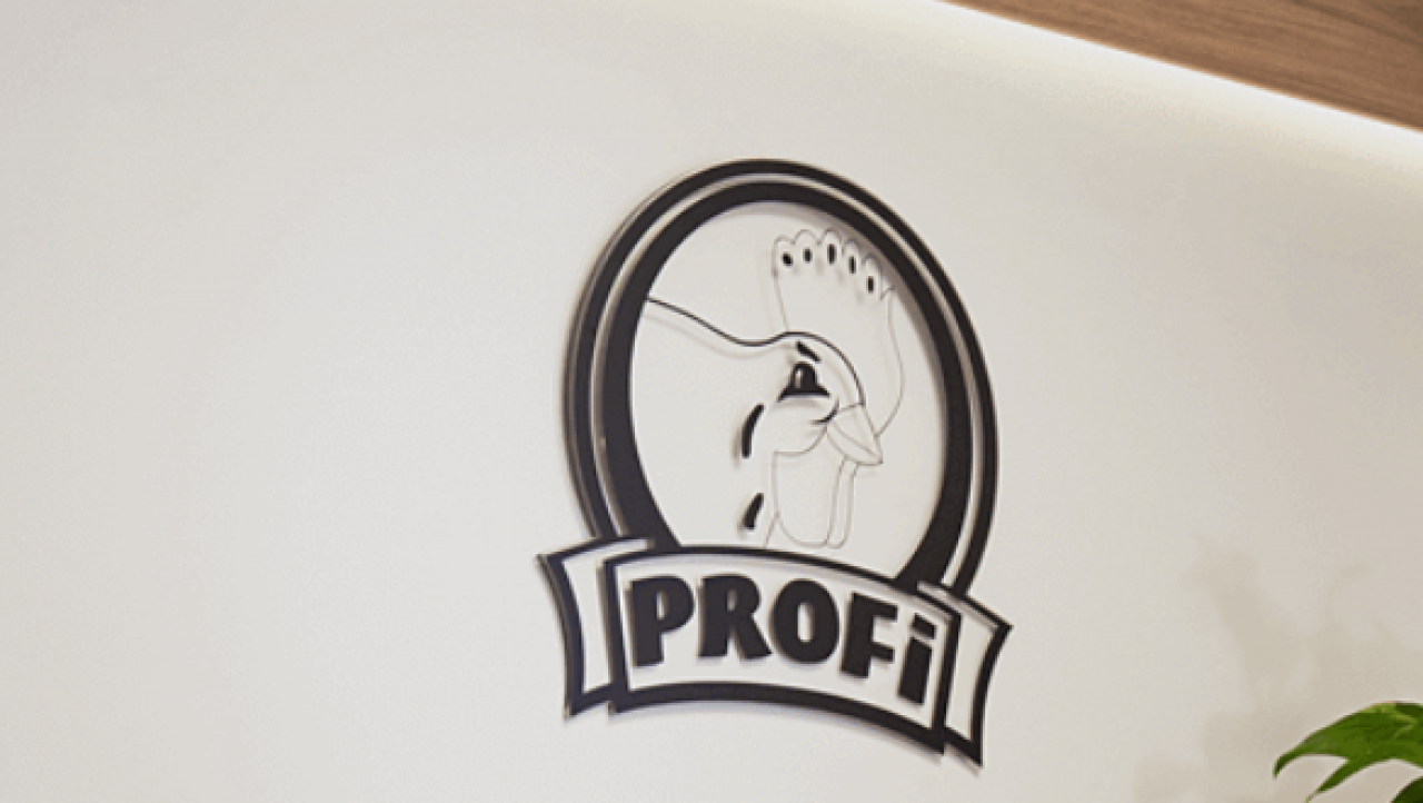 Logo firmy Profi