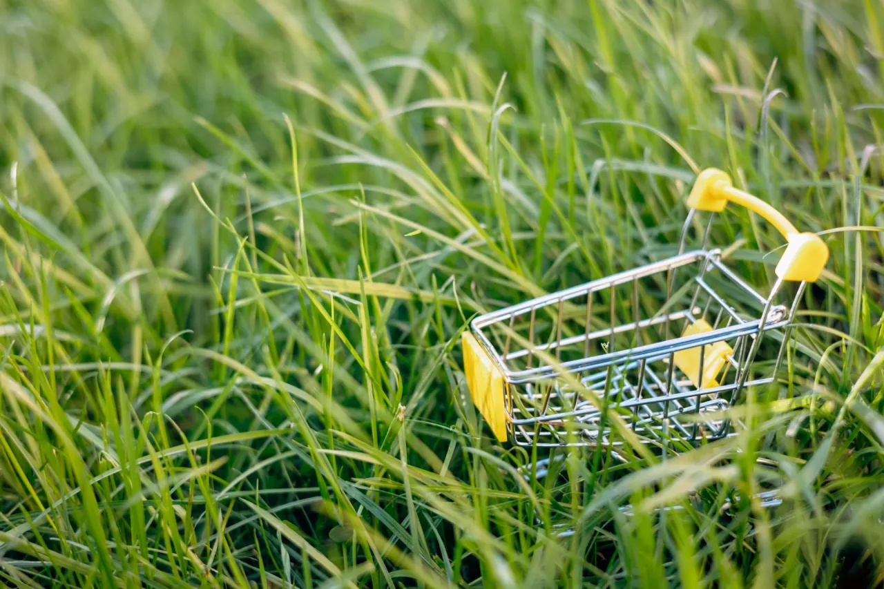 Konsumenci aktywnie wspierają zrównoważony rozwój i tego samego oczekują od sprzedawców detalicznych (fot. Shutterstock)