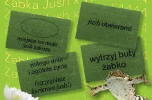 Wycieraczki z akcji reklamowa Żabka Jush z wlodim4444 (fot. materiały prasowe)