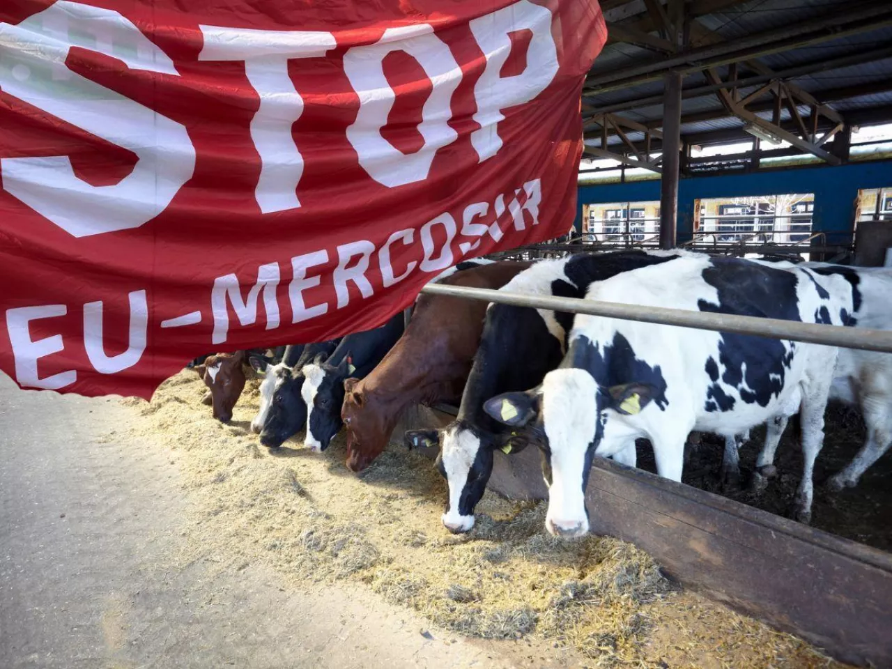 Rolnicy protestują przeciwko umowie UE-Mercosur (fot. Justyna Czupryniak/canva)