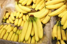 Czy zabraknie bananów na półkach sklepowych? Import pod presją kosztów i geopolitycznych wyzwań (fot. Shutterstock)