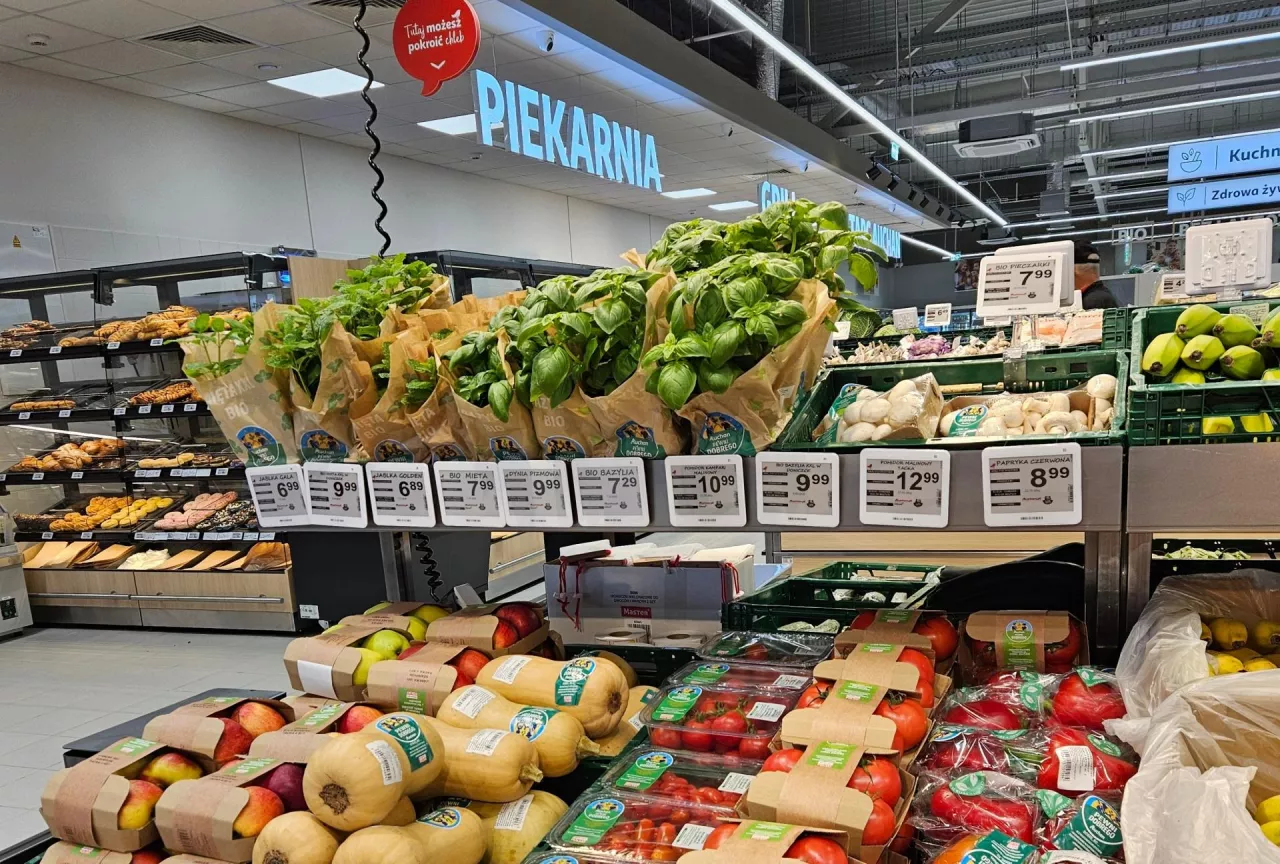 <p>Auchan otworzył cztery nowoczesne supermarkety</p>