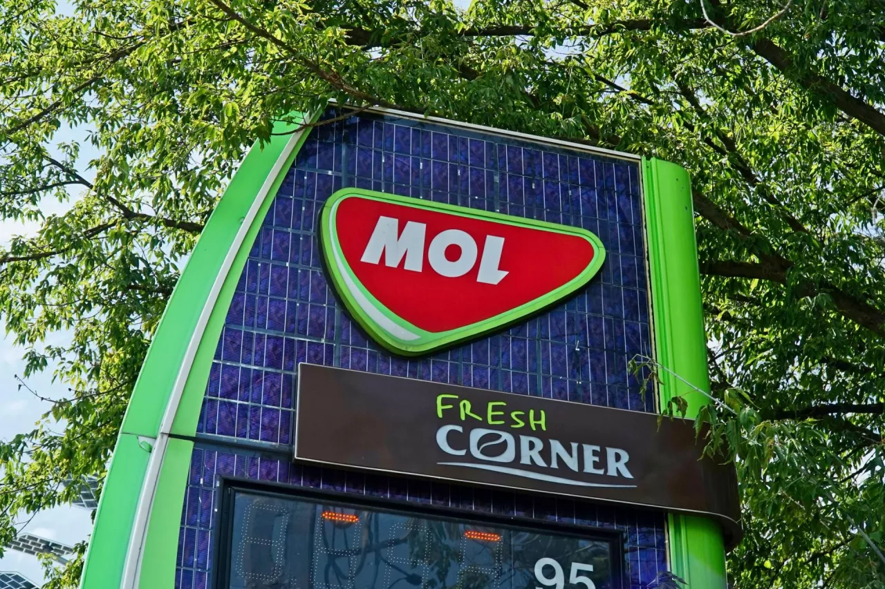 Mol, Fresh Corner