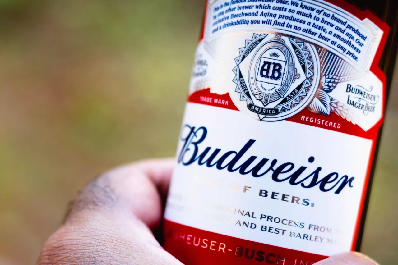 Na zdj. piwo Budweiser z portfolio AB InBev (fot. rafapress/Shutterstock)