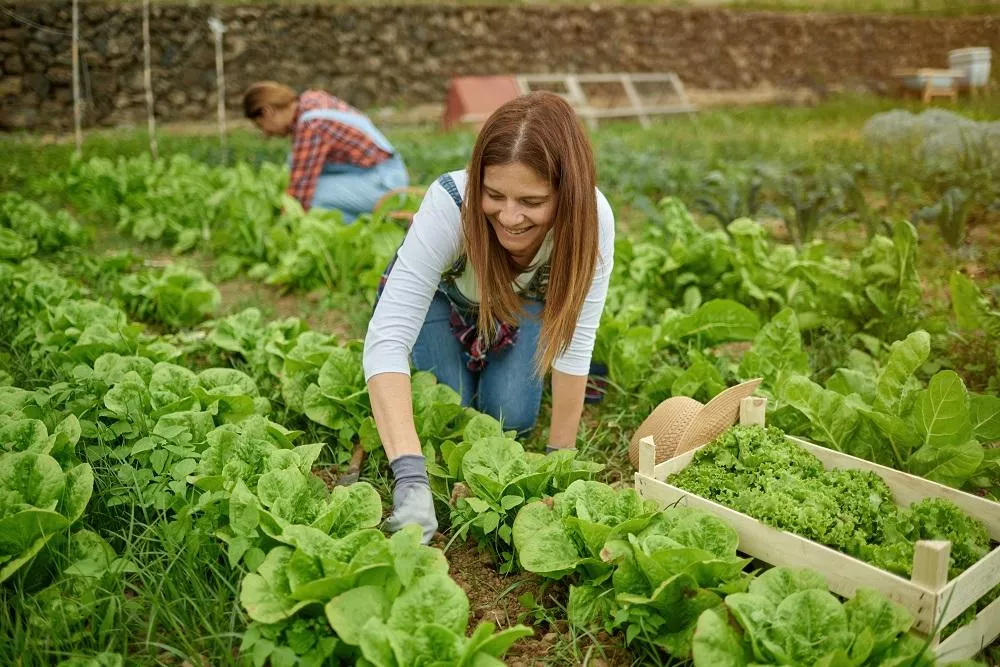 Wybory żywieniowe Polaków: cena najważniejsza! A co ze świadomością wpływu produkcji żywności na środowisko? [BADANIE]