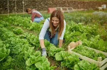 Tylko 34 proc. Polaków jest gotowych zapłacić więcej za produkty ekologiczne (Shutterstock)