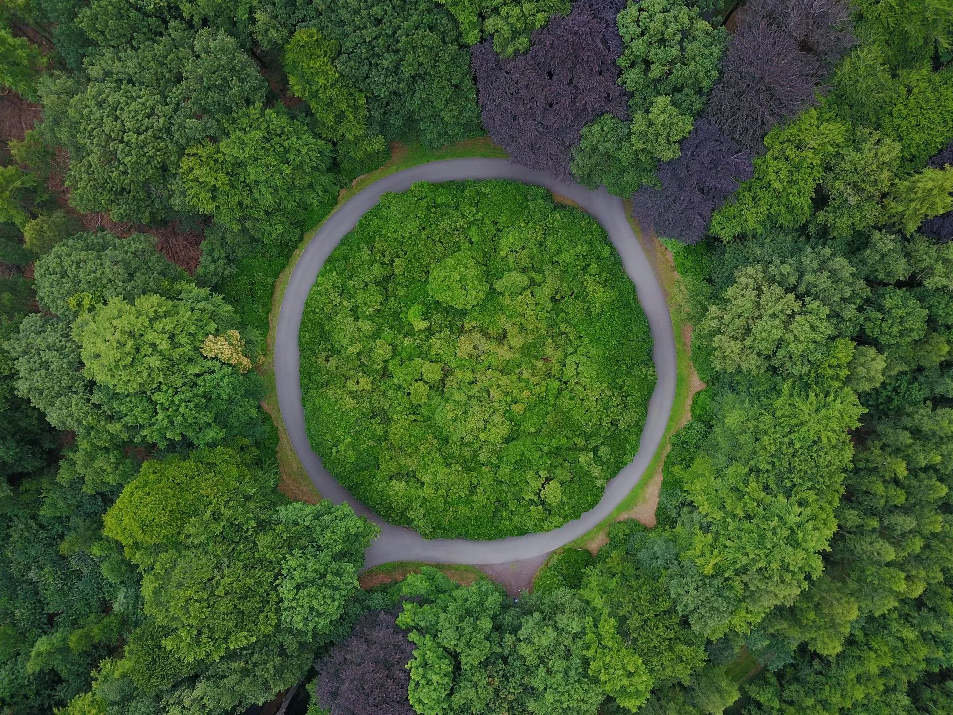 Zrównoważony rozwój na pierwszym planie – jak firmy zdobywają zaufanie klientów?