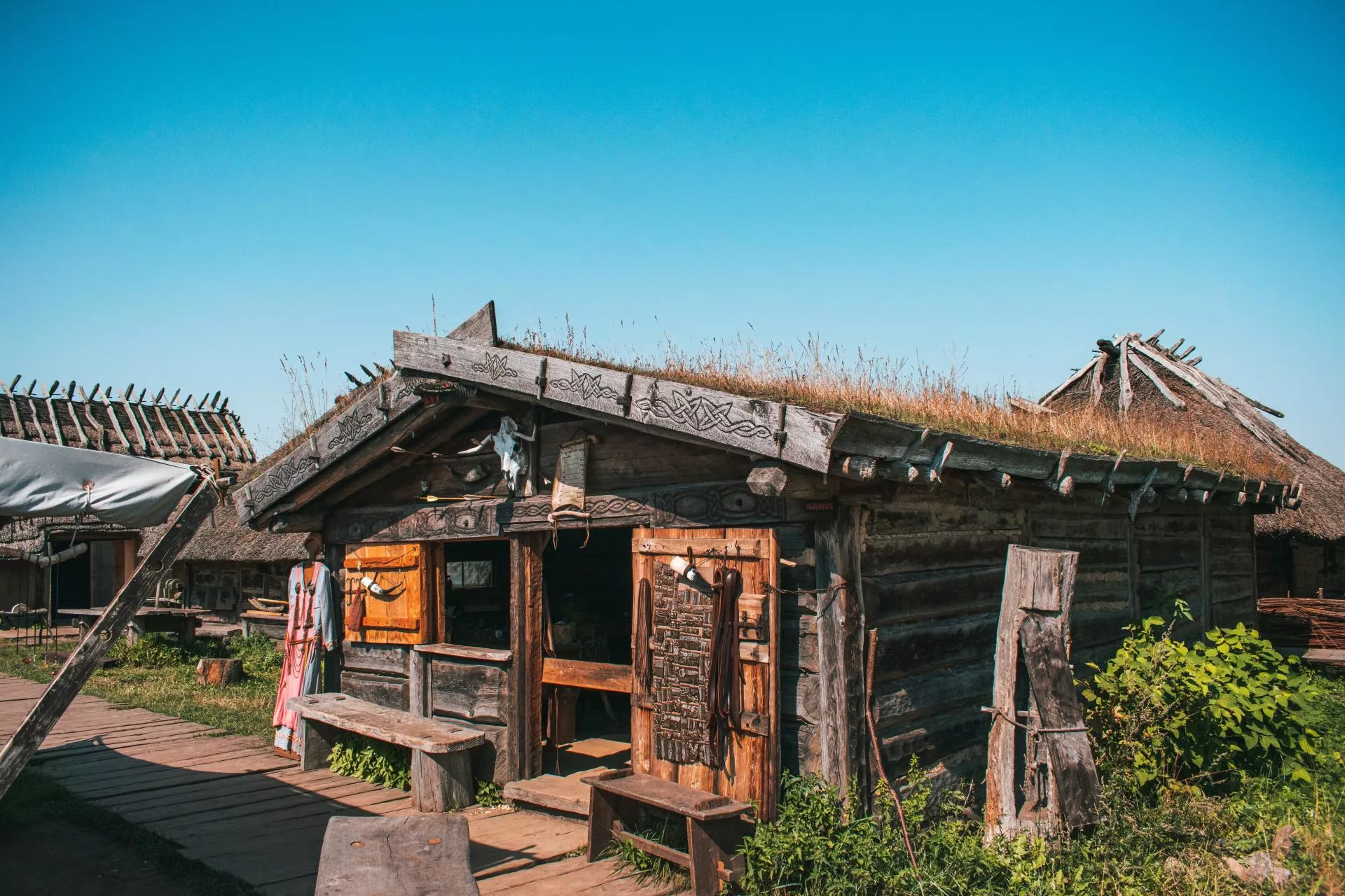 Netto wspiera archeologiczne badania w Polsce. Zbadana zostanie wymiana handlowa wikingów na Morzu Bałtyckim