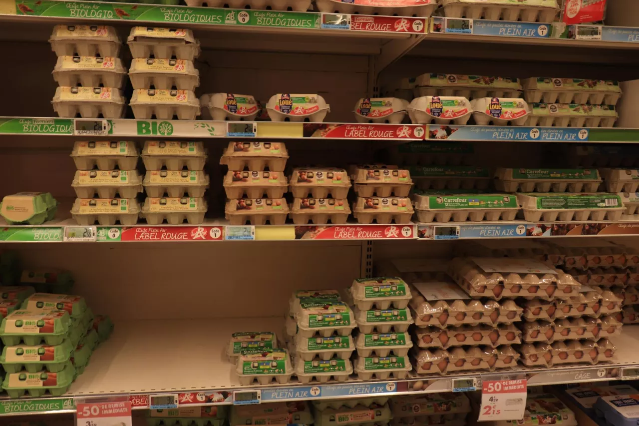 Jaj na półkach supermarketu we Francji (fot. StudioPortoSabbia/Shutterstock)