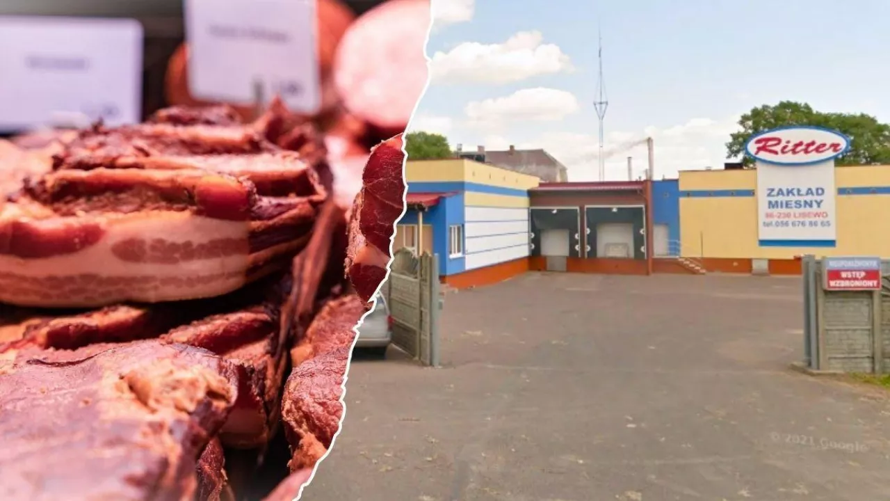 Zakłady Mięsne Lisewo idą pod młotek (fot. Pixabay/orko46; Google Maps)