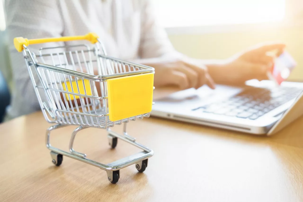 Jesteśmy zaawansowanymi użytkownikami e-commerce, choć nasze zwyczaje w Internecie są niezmienne (fot. Shutterstock)