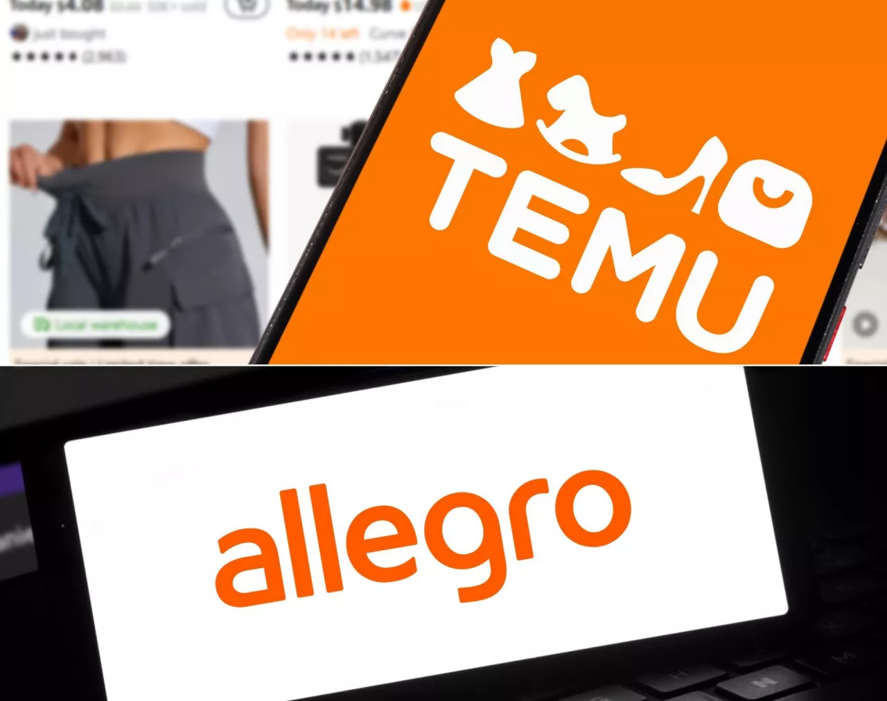 Temu umacnia się na pozycji lidera e-commerce w Polsce (Shutterstock)
