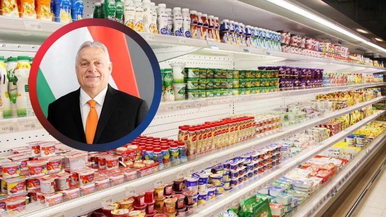 Węgierskie embargo na polską żywność. Skąd taka decyzja? Kogo najbardziej dotkną węgierskie sankcje? (fot. Canva + Viktor Orban/X.com)