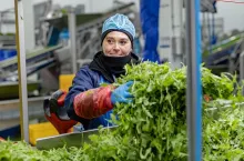 Polska firma Green Factory nabywa trzy zakłady produkcyjne od szwajcarskiej spółki Eisberg (fot. Green Factoryl)