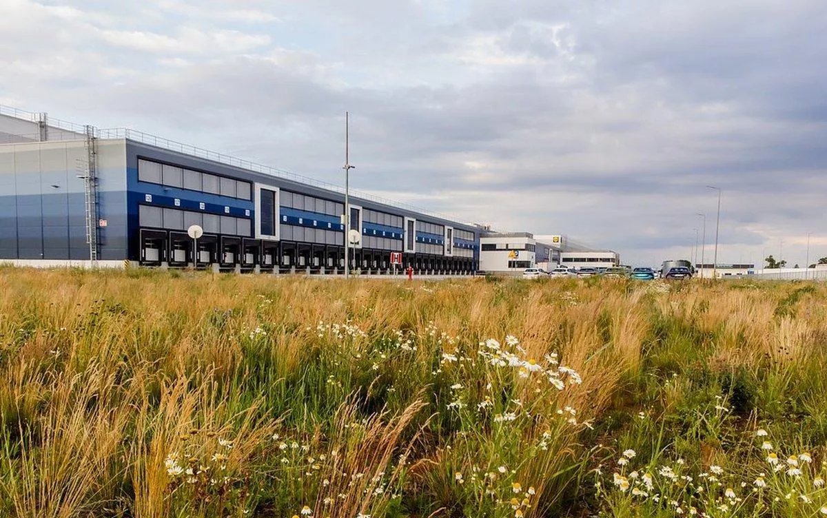 Lidl Polska rozpoczyna budowę swojego największego centrum dystrybucji. Wiemy kiedy ma nastąpić uruchomienie nowego obiektu