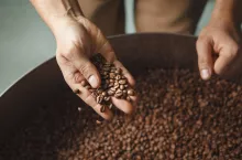 Tchibo stawia na nowy model współpracy z plantatorami. Firma chce zrównoważonej produkcji kawy (fot. Shutterstock)