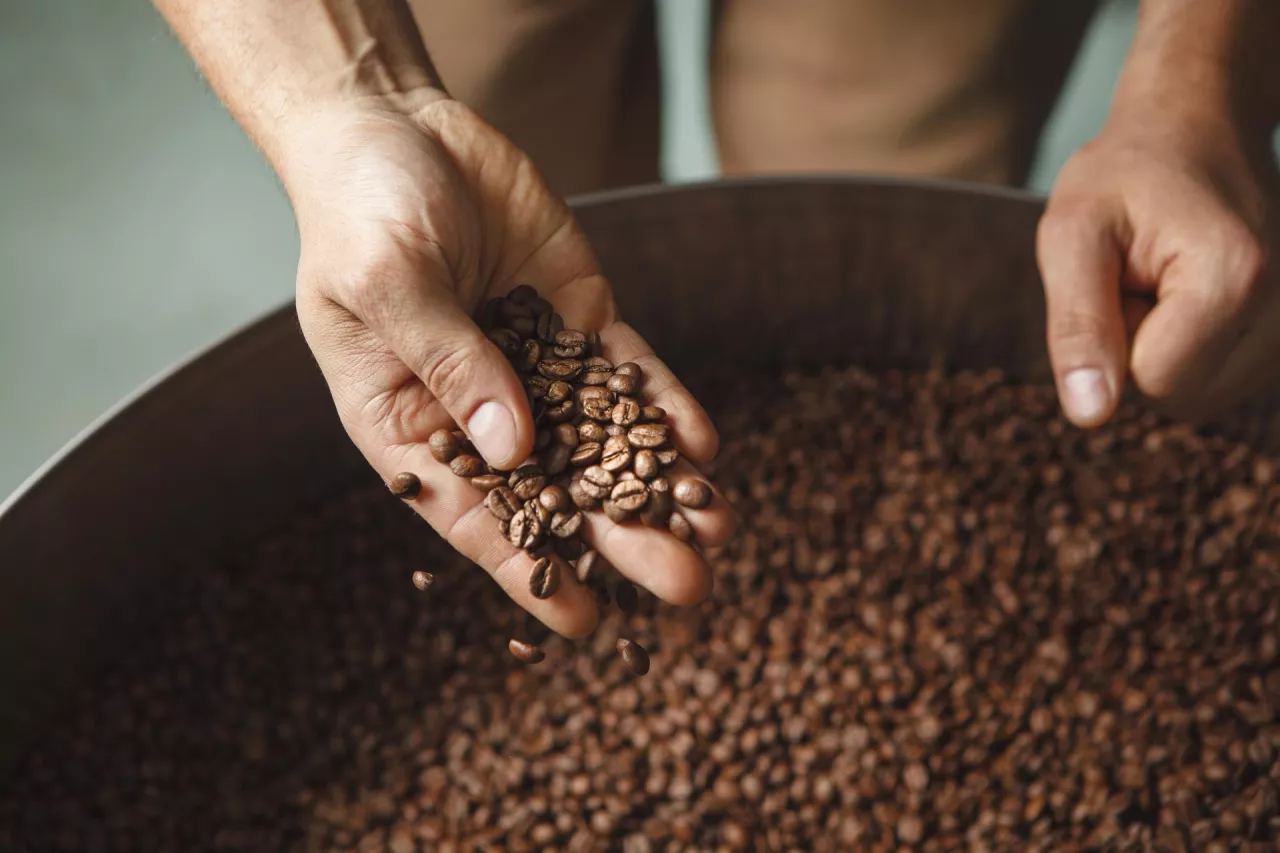 Tchibo stawia na nowy model współpracy z plantatorami. Firma chce zrównoważonej produkcji kawy (fot. Shutterstock)
