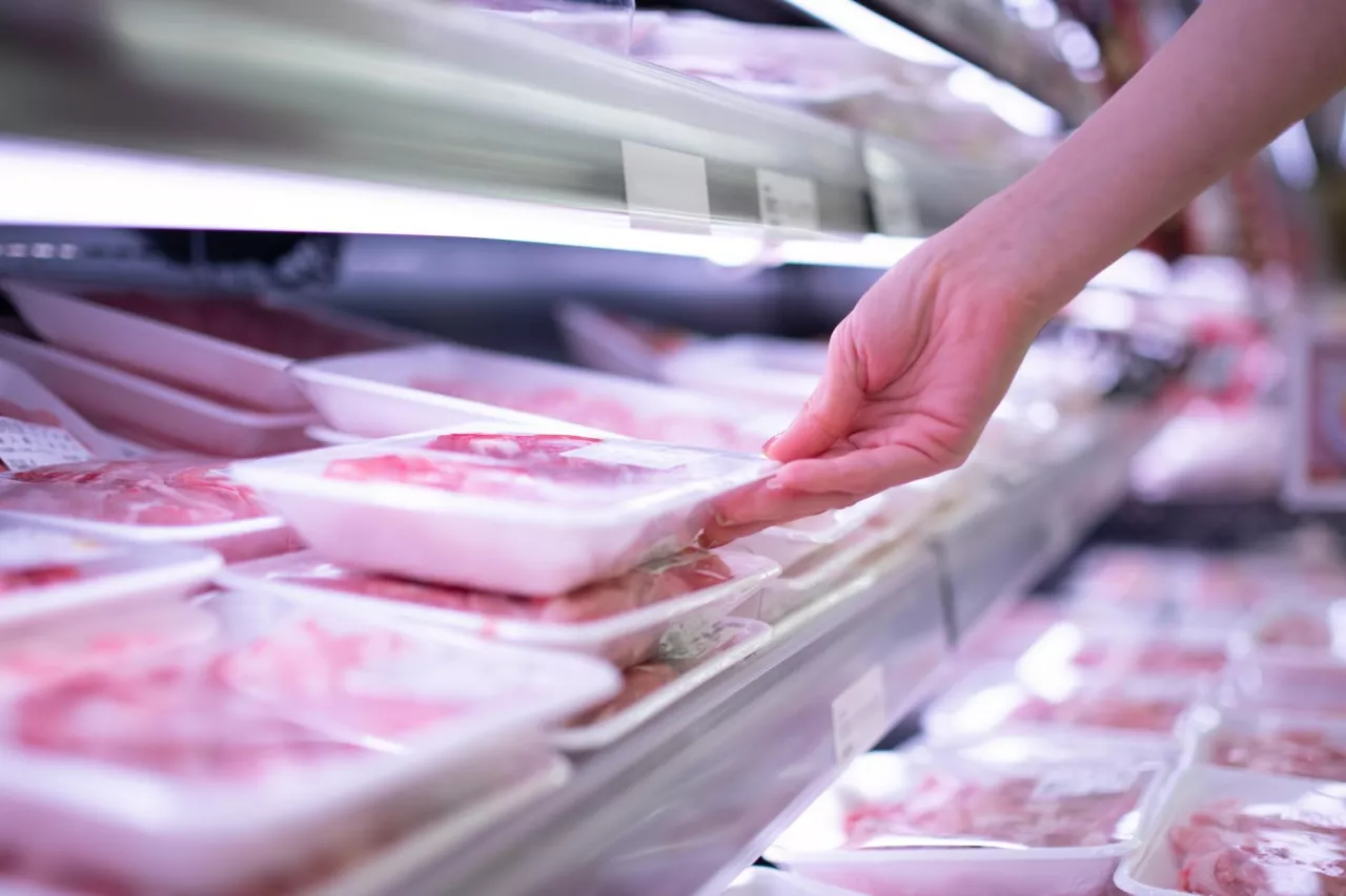 Polski drób w ogniu wyzwań: import, choroby, eksport i przyszłość sektora (fot. Shutterstock)