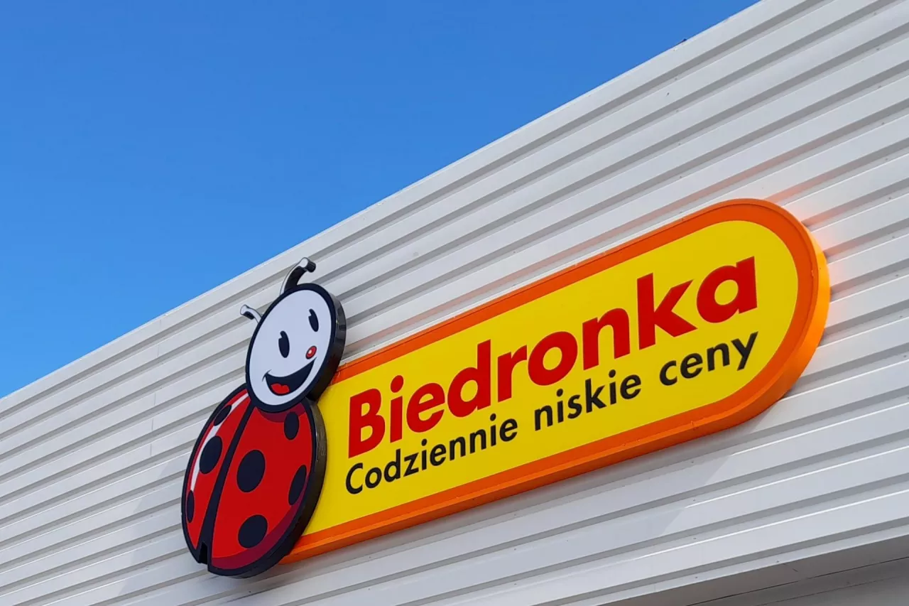 Biedronka (fot. Konrad Kaszuba)