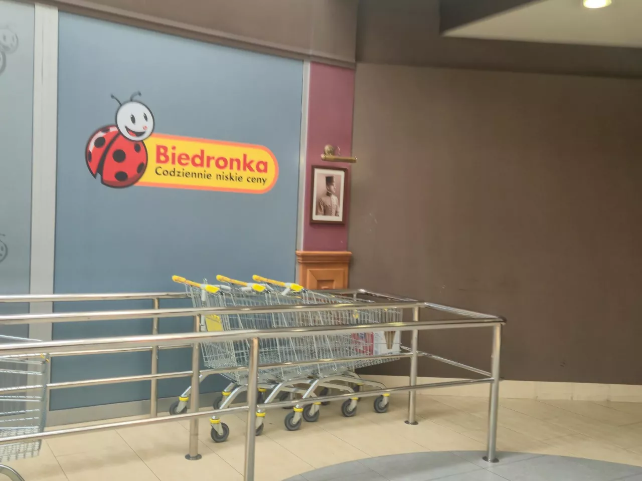 Biedronka w Rzeszowie (fot. daily_creativity/Shutterstock)