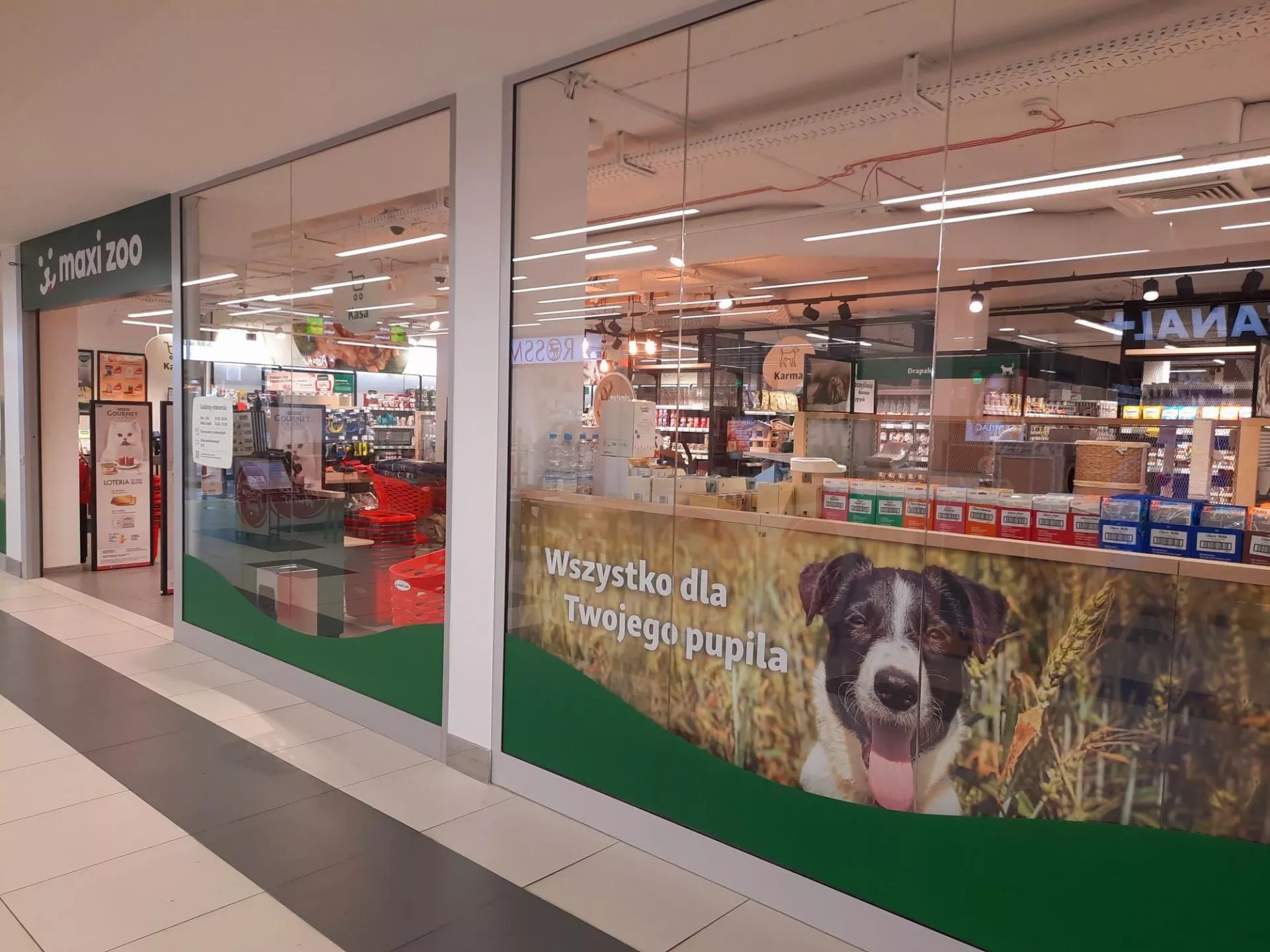 To ostatnie duże miasto, w jakim nie było Maxi Zoo. Sieć mocno zwiększa zasięg