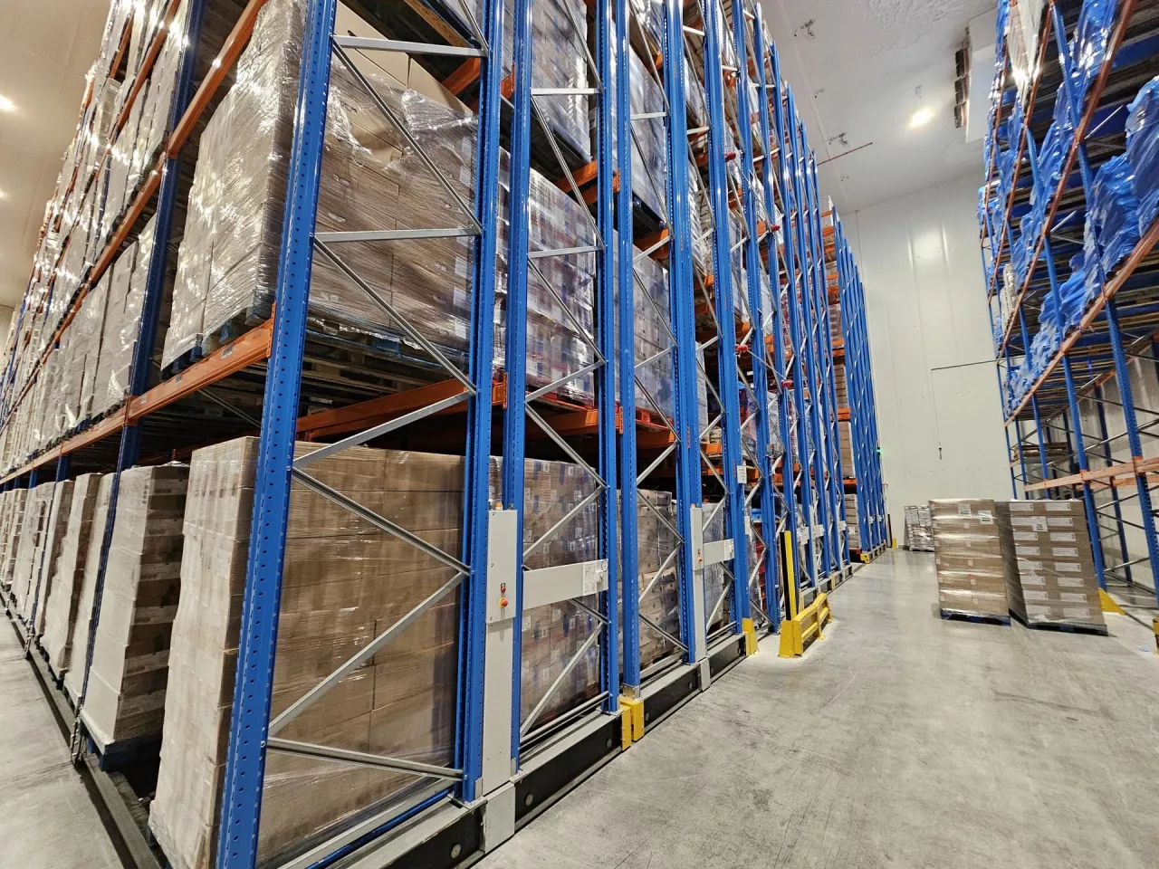Rafał Haendel, prezes Cold Chai Solutions mówi o logistyce i rynku mrożonek w Polsce (fot. Cold Chai Solutions)