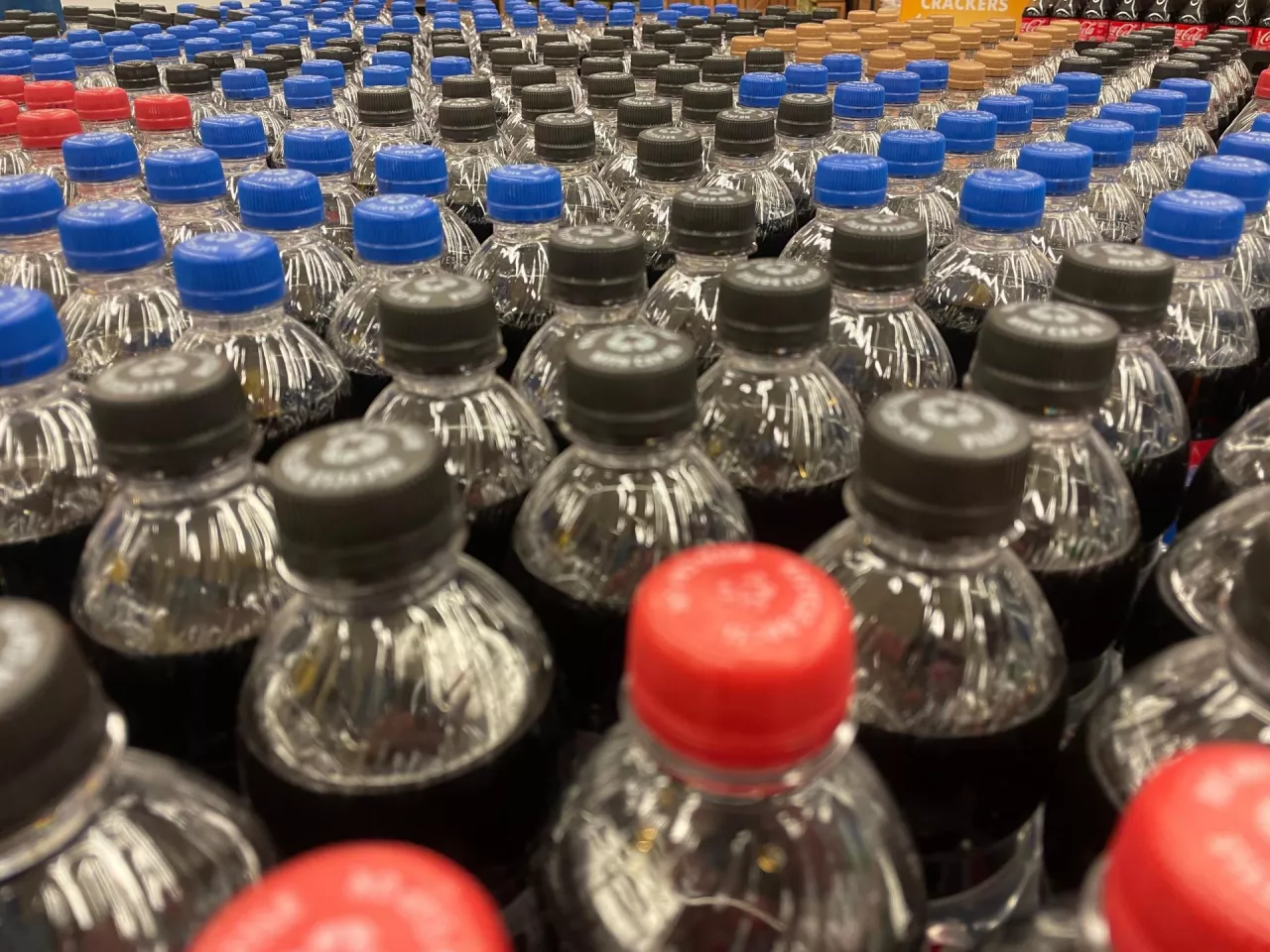 (fot. Billy F Blume Jr/Shutterstock)