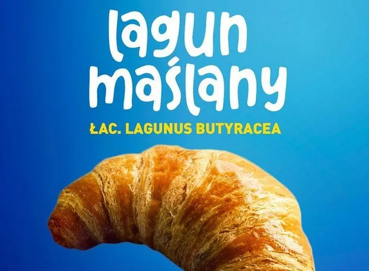 Jednostki szybkiego reagowania. Marki FMCG świetnie radzą sobie z real-time marketingiem