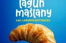 Lagun maślany w reklamie sieci Aldi (grafika: Aldi)