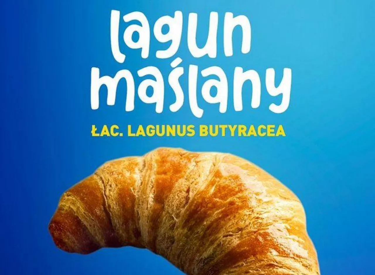 Lagun maślany w reklamie sieci Aldi (grafika: Aldi)